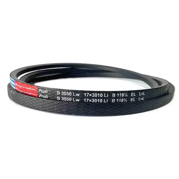 Aktuální Klínový řemen RUBENA 17x1000 Li - B 1040 Lw Profi