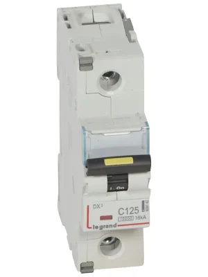 Finální Výprodej LEGRAND Jistič 125C/1 DX3 409142