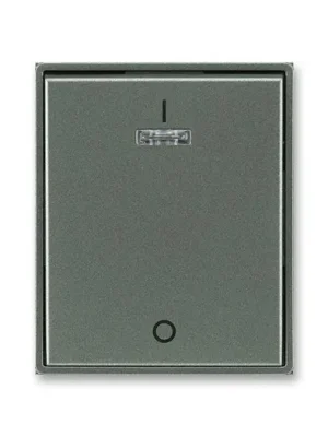 ABB 3558E-A00933 34 Kryt spínače jednoduchý s potiskem, s čirým průzorem Time®, Time® Arbo antracitová Značkový
