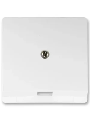 ABB 5013G-A00213 B1 Kryt zásuvky telefonní jednonásobné Swing®, Swing®L jasně bílá Ihned K Objednání