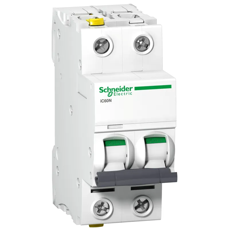 SCHNEIDER Jistič 0,5D/2 iC60N A9F05270 Značkový