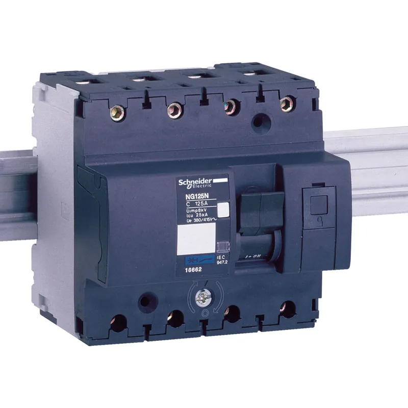 SCHNEIDER Jistič 100D/4 NG125N 18673 Finální Výprodej